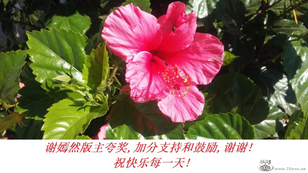 谢嫣然版主夸奖,加分支持和鼓励,谢谢!祝快乐每一天!.jpg