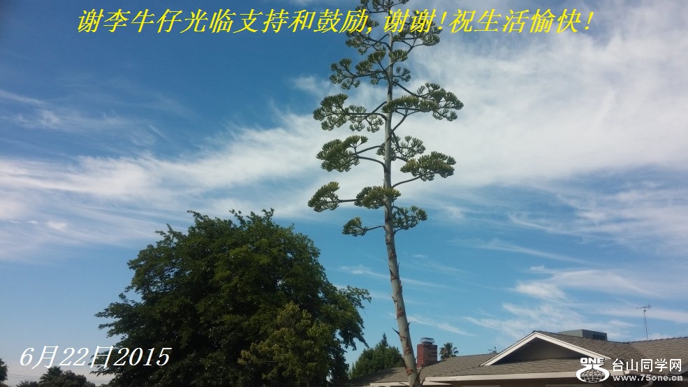 谢李牛仔光临支持和鼓励,谢谢!祝生活愉快!.jpg