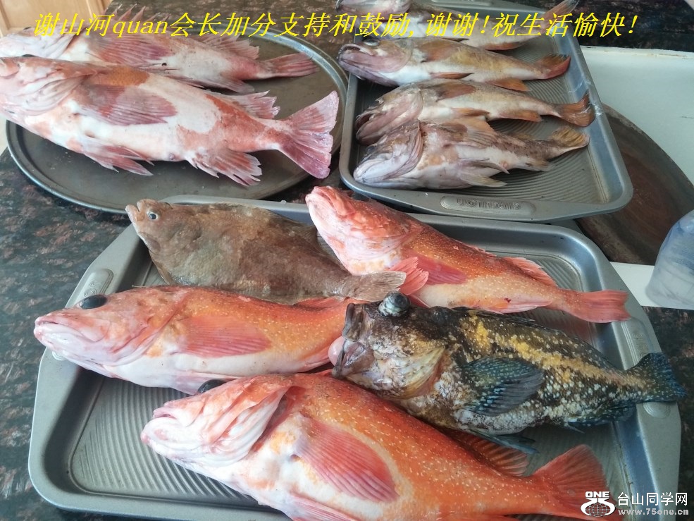 谢山河quan会长加分支持和鼓励,谢谢!祝生活愉快!.jpg