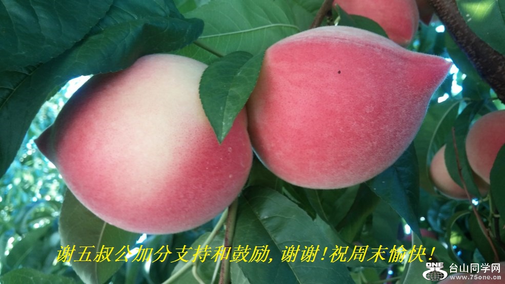 л幫ӷֺ֧͹,лл!ףĩ!.jpg