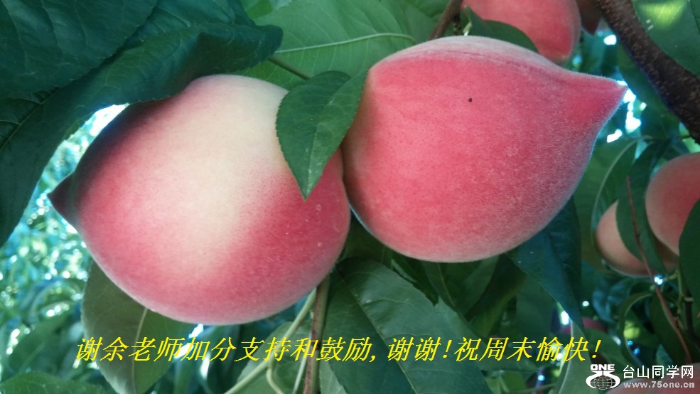 谢余老师加分支持和鼓励,谢谢!祝周末愉快!.jpg