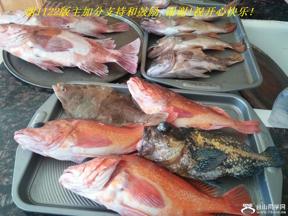 谢1122版主加分支持和鼓励,谢谢!祝开心快乐!.jpg
