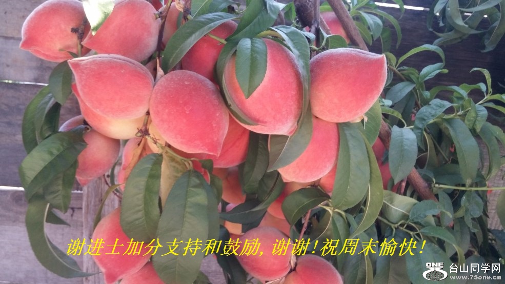 谢进士加分支持和鼓励,谢谢!祝周末愉快!.jpg