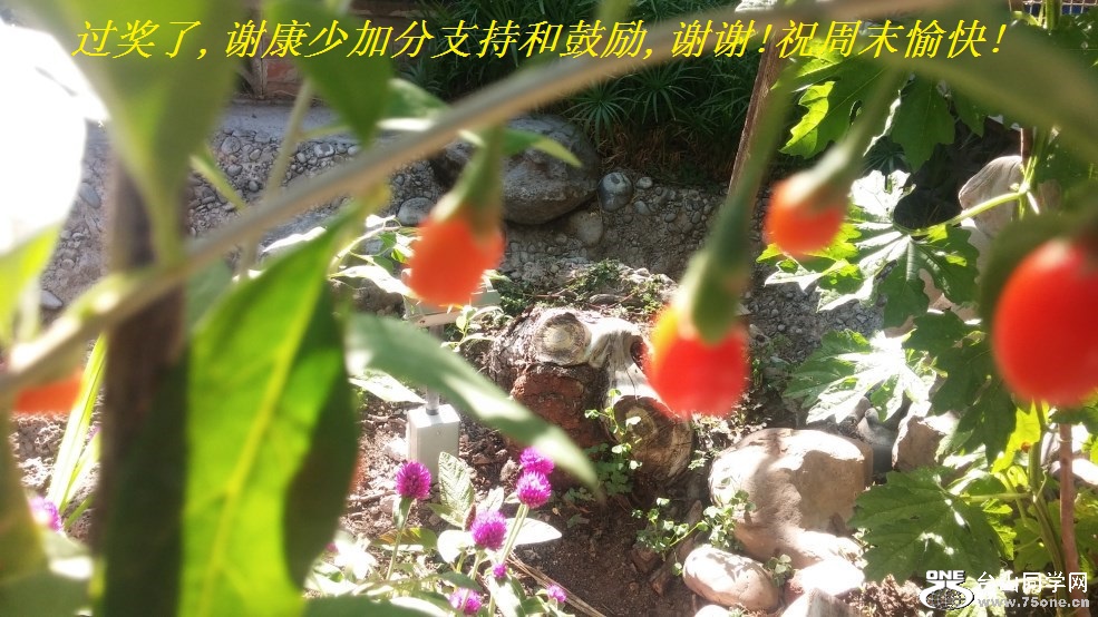 ,лټӷֺ֧͹,лл!ףĩ!.jpg