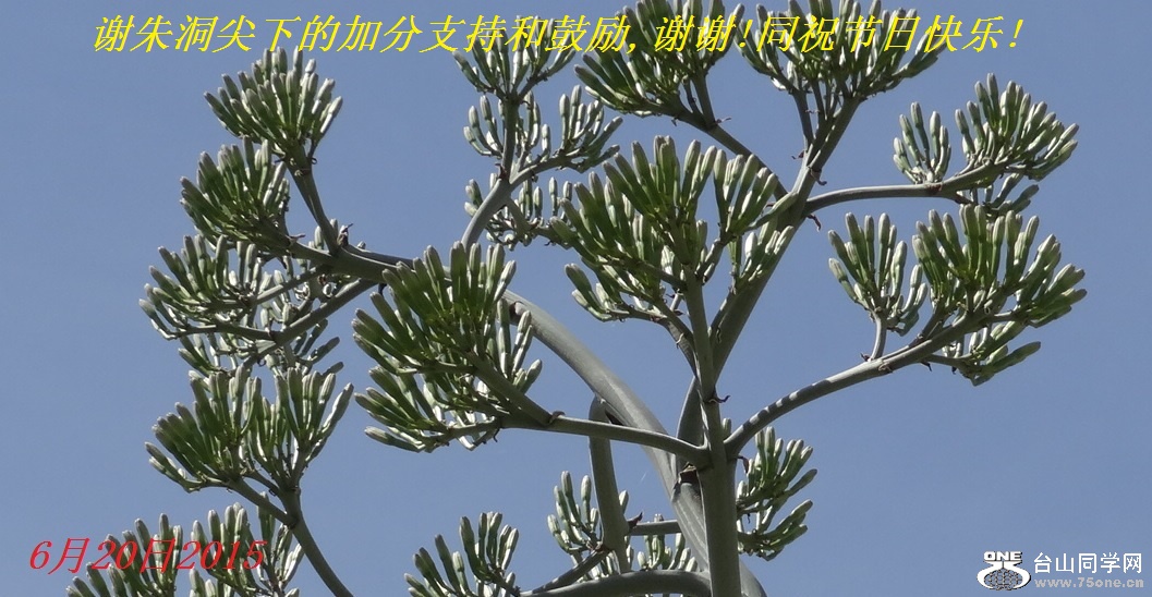 谢朱洞尖下的加分支持和鼓励,谢谢!同祝节日快乐!.jpg