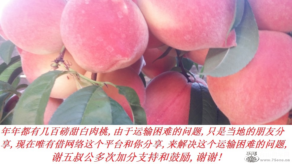 谢五叔公多次加分支持和鼓励,谢谢!.jpg