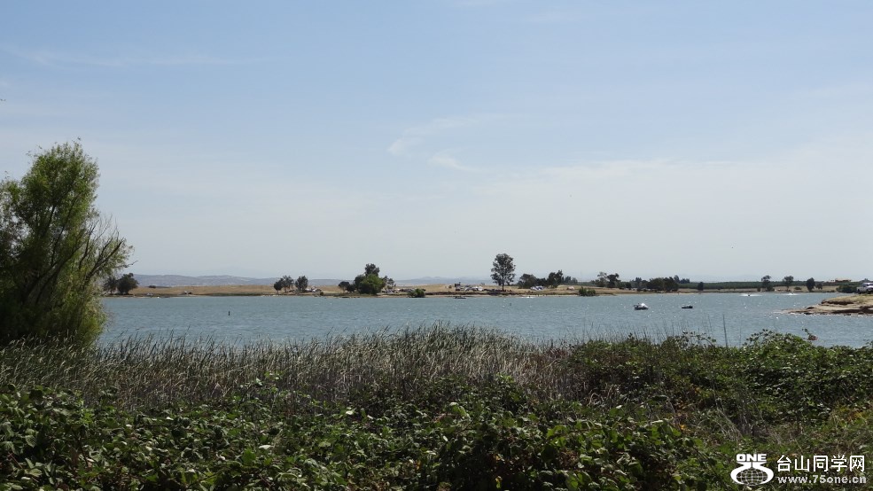 DSC07488.jpg