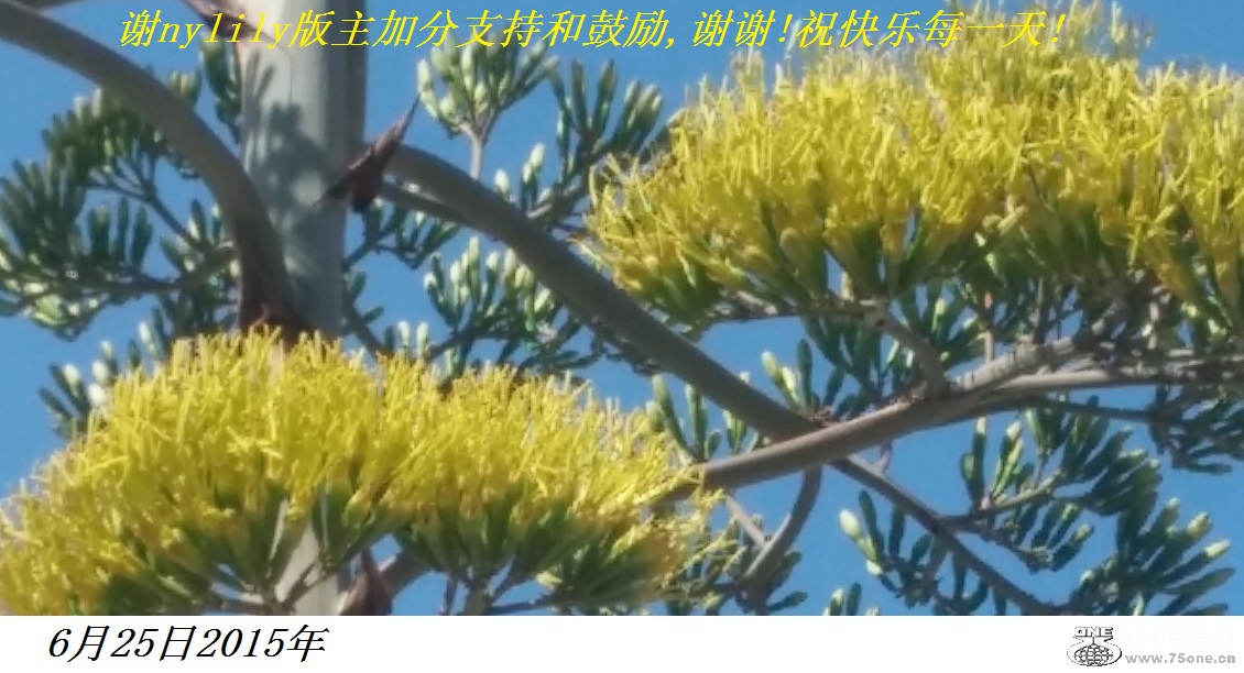 谢nylily版主加分支持和鼓励,谢谢!祝快乐每一天!.jpg