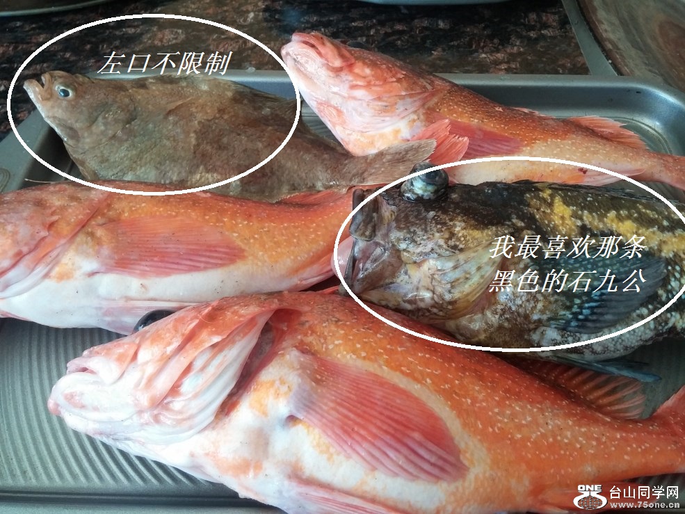 我最喜欢那条黑色的石九公.jpg