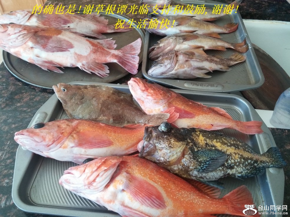 的确也是!谢草根谭光临支持和鼓励,谢谢!祝生活愉快!.jpg