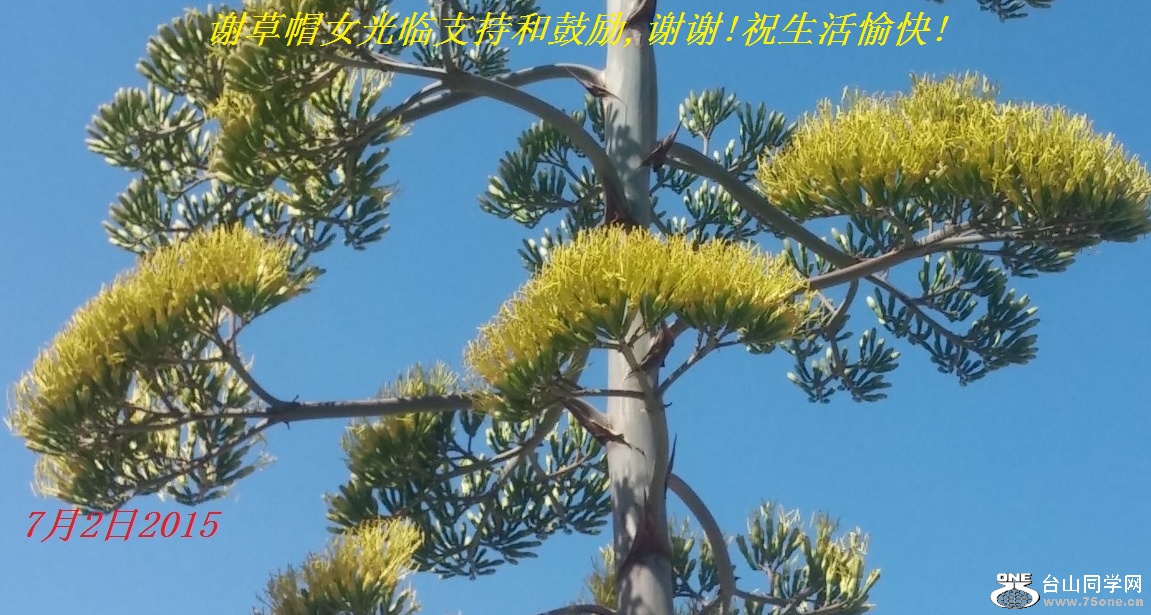 谢草帽女光临支持和鼓励,谢谢!祝生活愉快!.jpg