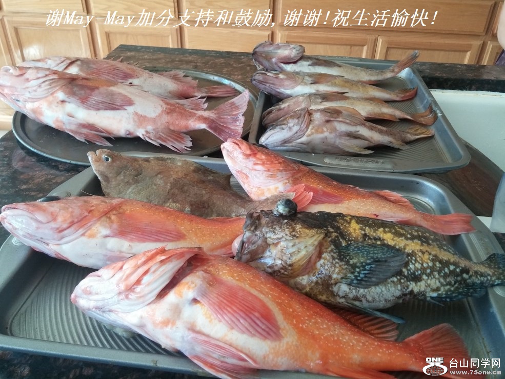 谢May-May加分支持和鼓励,谢谢!祝生活愉快!.jpg