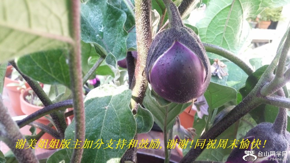 лӷֺ֧͹,лл!ͬףĩ!.jpg