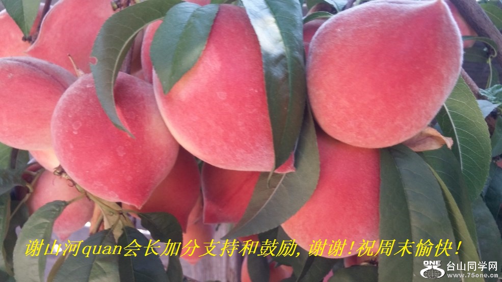 лɽquan᳤ӷֺ֧͹,лл!ףĩ!.jpg