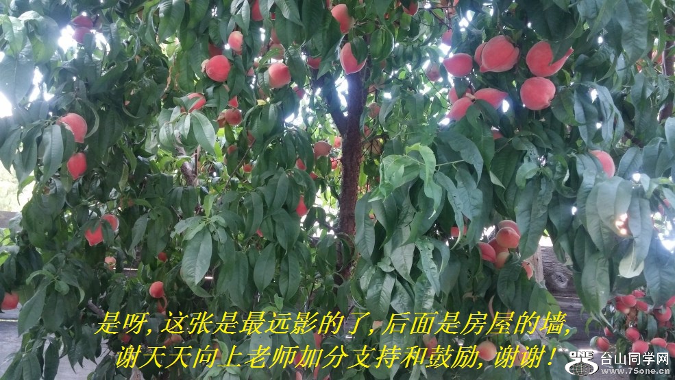 ѽ,ԶӰ,Ƿݵǽ,лʦӷֺ֧͹,лл!.jpg