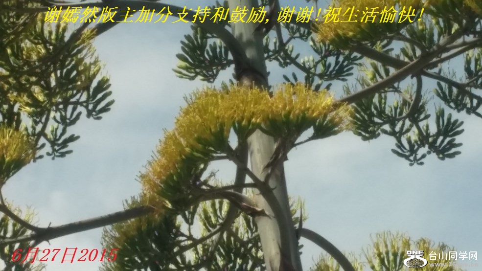 谢嫣然版主加分支持和鼓励,谢谢!祝生活愉快!.jpg