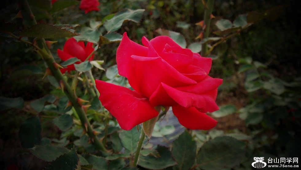 DSC01694_.jpg