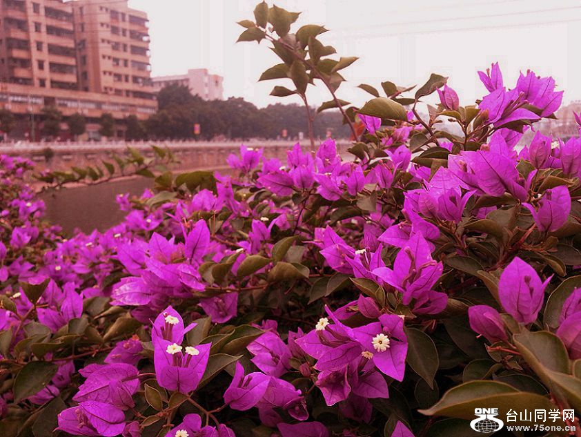 20141106_155332_.jpg