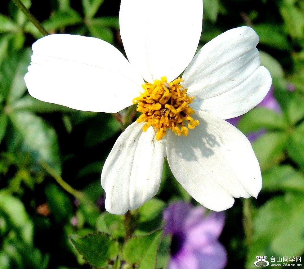 DSC01307_conew1_.jpg