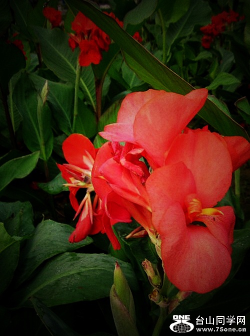 QQͼƬ20150708051809__.jpg