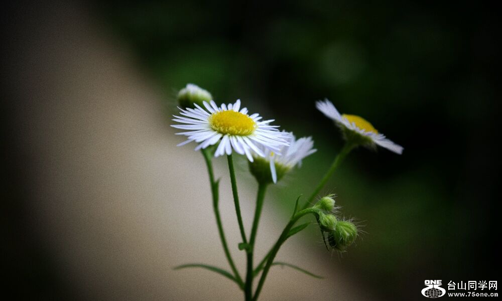 QQͼƬ20150714141100.jpg
