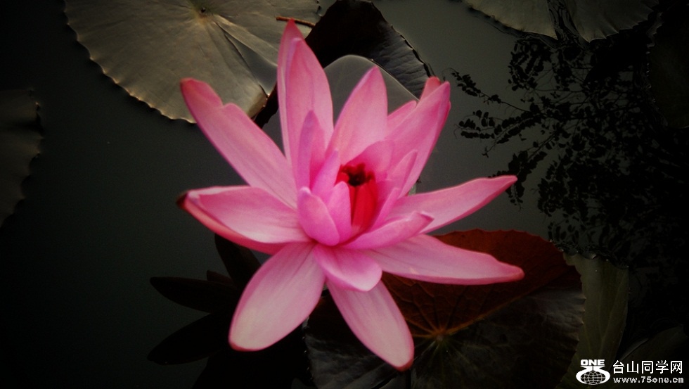 DSC01665_.jpg