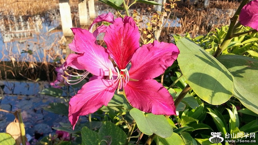 20150106_161924__.jpg