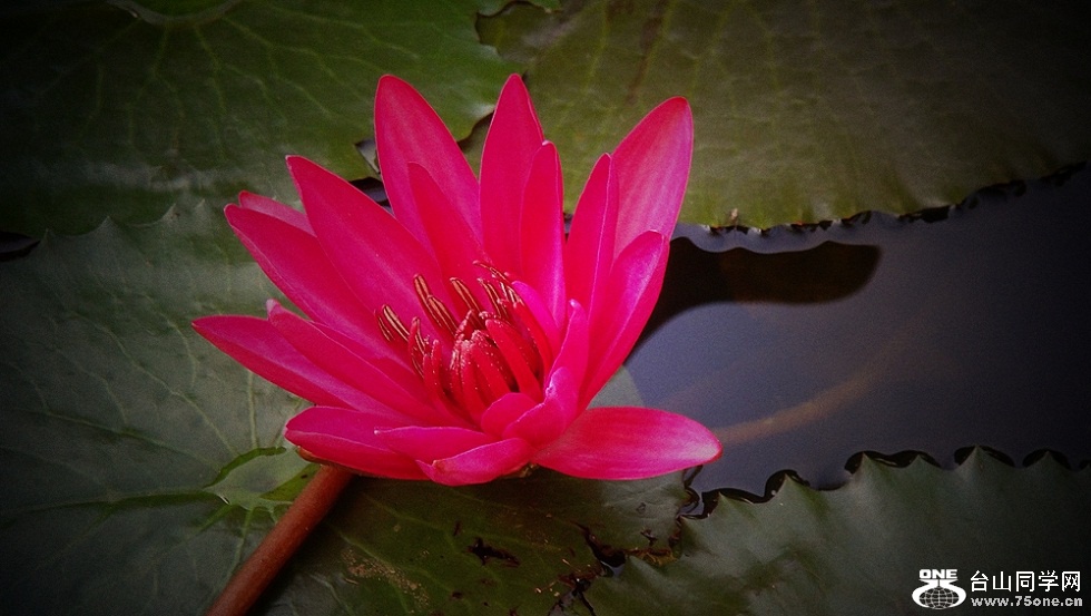 DSC02399_.jpg