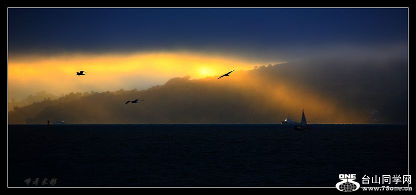IMG_8475_.jpg