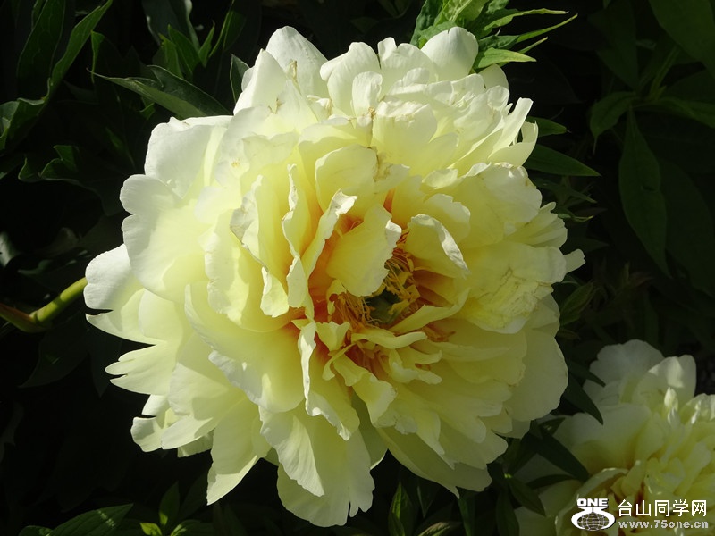 DSC03362_副本.jpg