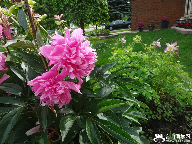 DSC03193_副本.jpg