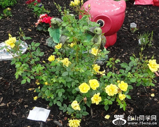 DSC03303_副本.jpg
