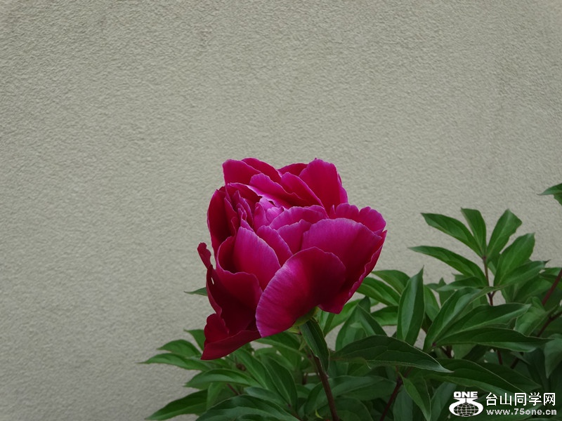 DSC03120_副本.jpg