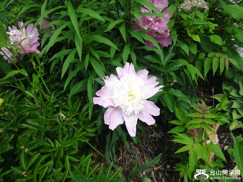 DSC03160_副本.jpg