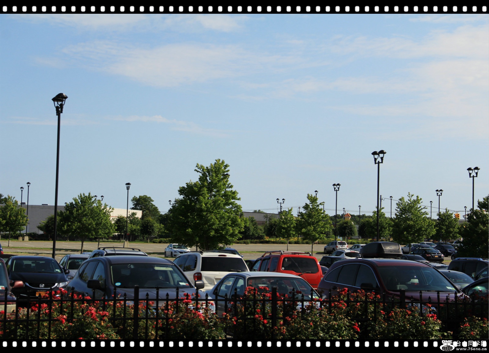 IMG_8472.JPG