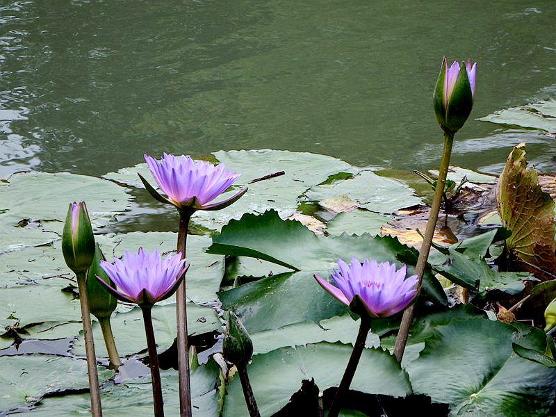 DSC_5362.jpg