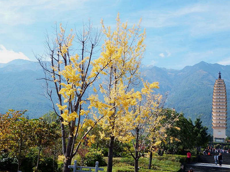 DSCF8918.jpg