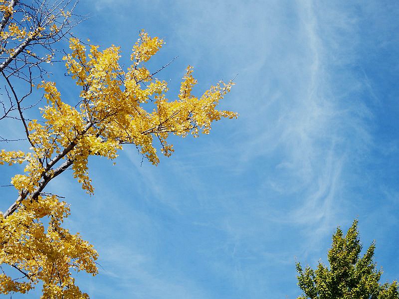 DSCF8924.jpg