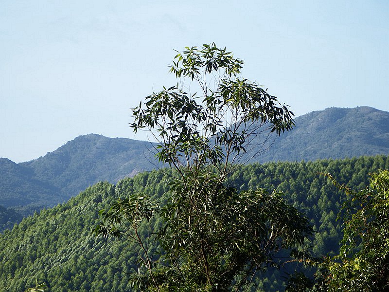 DSC_0013.jpg