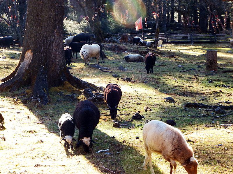 DSCF8610.jpg