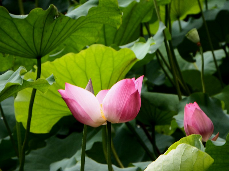 IMG__003.jpg