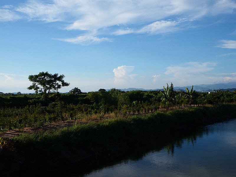 DSC_0395.jpg