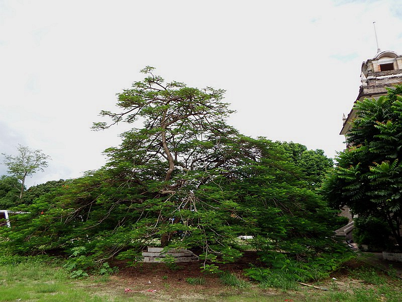 DSC_0024.jpg