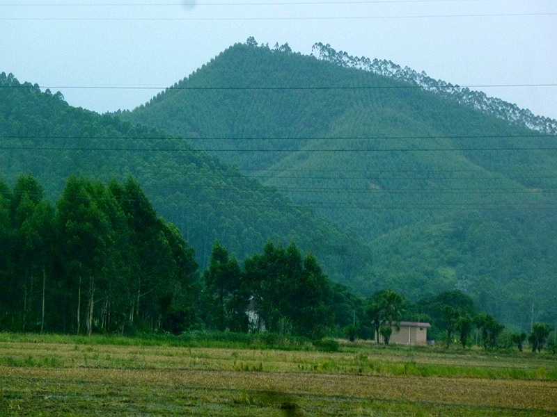 927.jpg