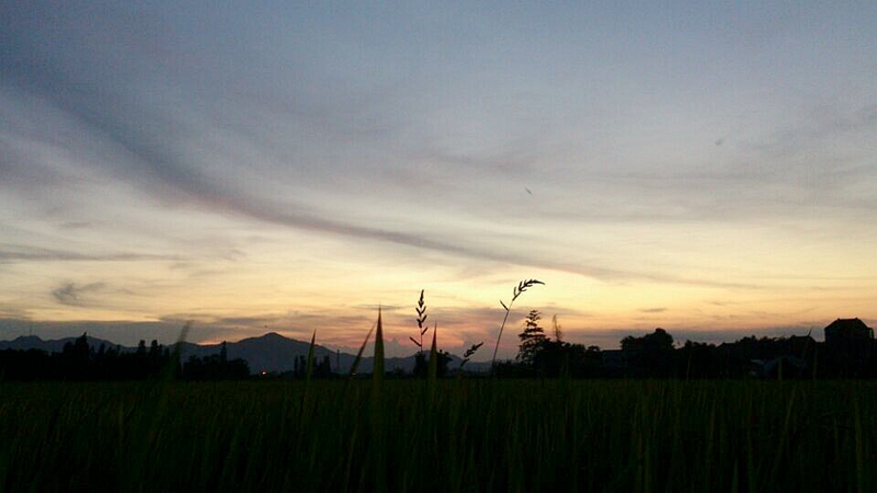 DSC_196.jpg