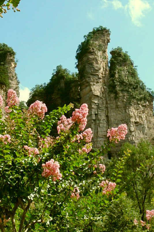 DSC_173.jpg