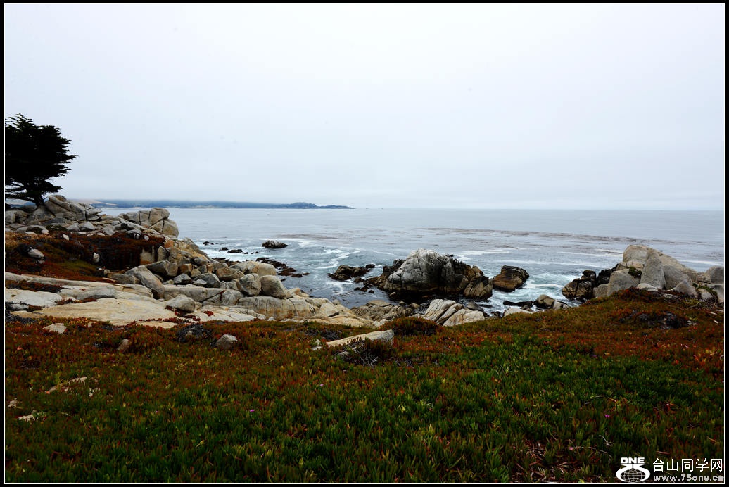 DSC_3864.jpg