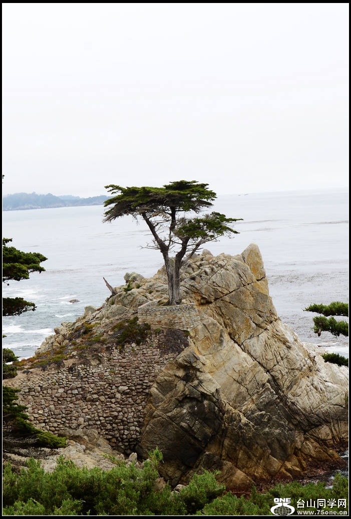 DSC_3888.jpg