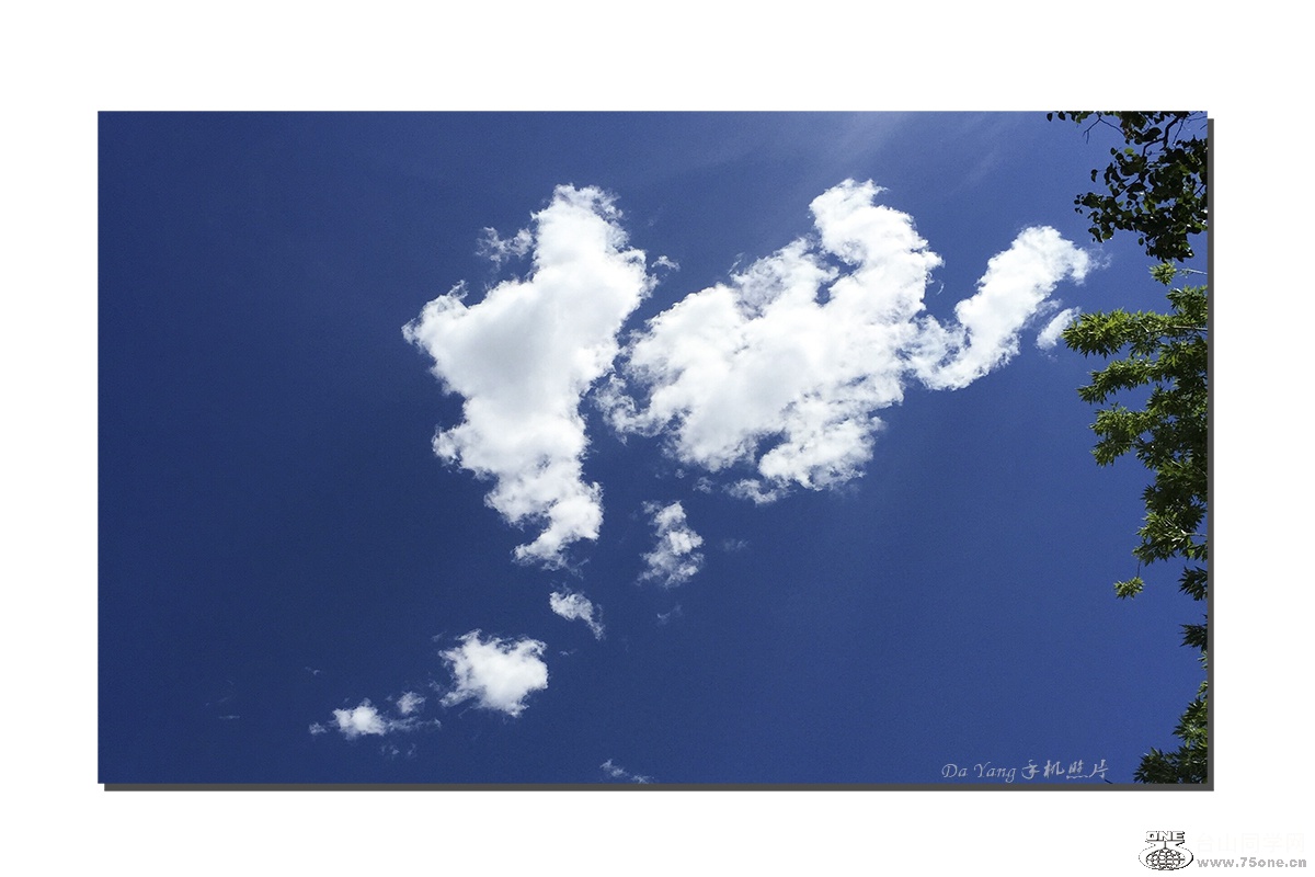 QQͼƬ20150711223234-1.jpg