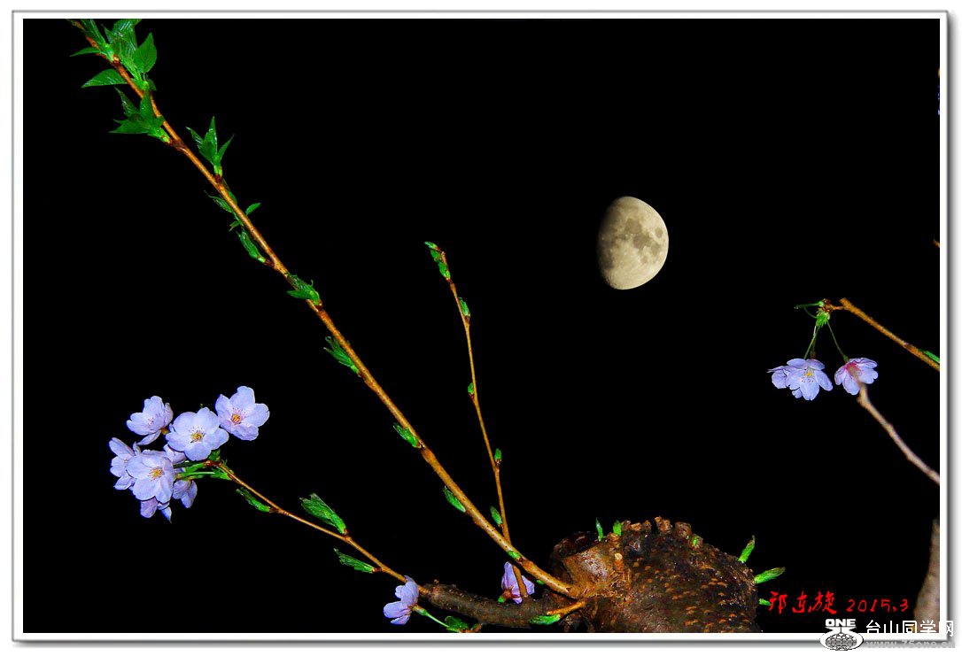 ŵӣ01.jpg